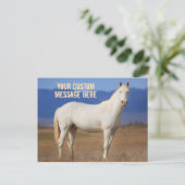 White Mustang Horse Postkarte (Stehend Vorderseite)