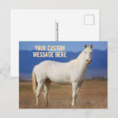 White Mustang Horse Postkarte (Vorne/Hinten)