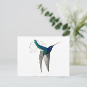 White-necked Jacobin Hummingbird Postkarte (Stehend Vorderseite)