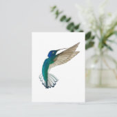 White-necked Jacobin Hummingbird Postkarte (Stehend Vorderseite)
