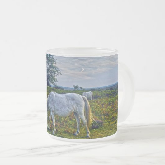 White New Forest Ponies weiden das Heide England Mattglastasse (VorderseiteRechts)