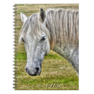 White New Forest Pony Wild Horse Notizblock