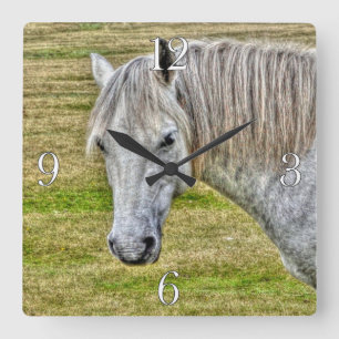 White New Forest Pony Wild Horse Quadratische Wanduhr