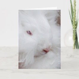 White Oaster Bunny Feiertagskarte