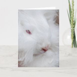 White Oaster Bunny Feiertagskarte