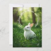 White Oaster Bunny Feiertagskarte (Vorderseite)