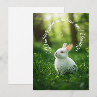 White Oaster Bunny Feiertagskarte