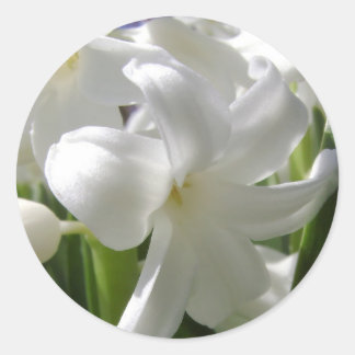 White Oaster Lilly Runder Aufkleber