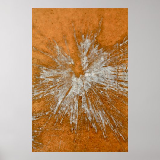 White on Gold Paintball Poster (Vorne)