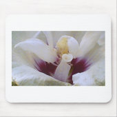 White on White Rose Bloom Mousepad (Vorne)