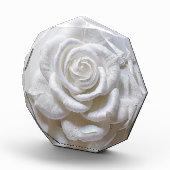 White on White - Skulptur Rose Fotoblock (Rechts)