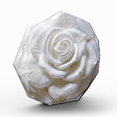 White on White - Skulptur Rose Fotoblock (Links)