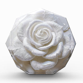 White on White - Skulptur Rose Fotoblock