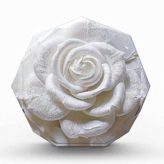 White on White - Skulptur Rose Fotoblock (Vorderseite)