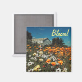 White Orange Daisy Blume Bloom Magnet (Vorderseite/Rückseite)