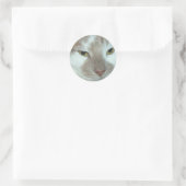 White & Orange Tabby Runder Aufkleber (Tasche)