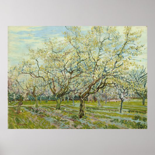 White Orchard von Vincent Van Gogh Poster (Vorne)