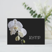 White Orchid auf Black Wedding RSVP Response Card Karte (Stehend Vorderseite)