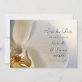 White Orchid Elegance Wedding Save the Date (Vorderseite)