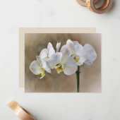 White Orchid Flowers Art Note Card Set  Mitteilungskarte (Vorderseite/Rückseite Beispiel)