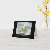 White Orchid Friendship Sprichwort-David Avocado W Karte (Gelbe Blume)