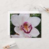White Orchid I Beautiful Tropical Blume Karte (Vorderseite/Rückseite Beispiel)