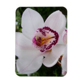 White Orchid I Beautiful Tropical Blume Magnet (Vertikal)