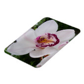White Orchid I Beautiful Tropical Blume Magnet (Linke Seite)