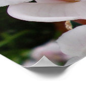 White Orchid I Beautiful Tropical Blume Poster (Ecke)