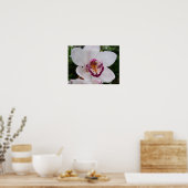White Orchid I Beautiful Tropical Blume Poster (Küche)