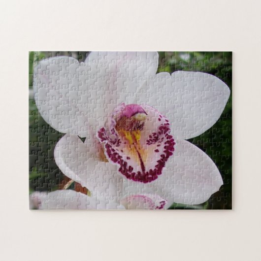 White Orchid I Beautiful Tropical Blume Puzzle (Horizontal)