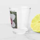 White Orchid I Beautiful Tropical Blume Schnapsglas (Rechts)