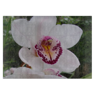 White Orchid I Beautiful Tropical Blume Schneidebrett