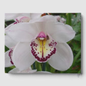 White Orchid II Elegant Floral Gästebuch (Rückseite)