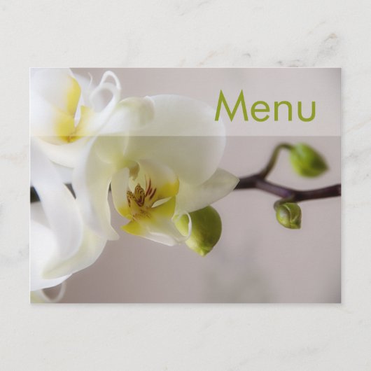 White Orchid Menü Postcard Postkarte (Vorderseite)