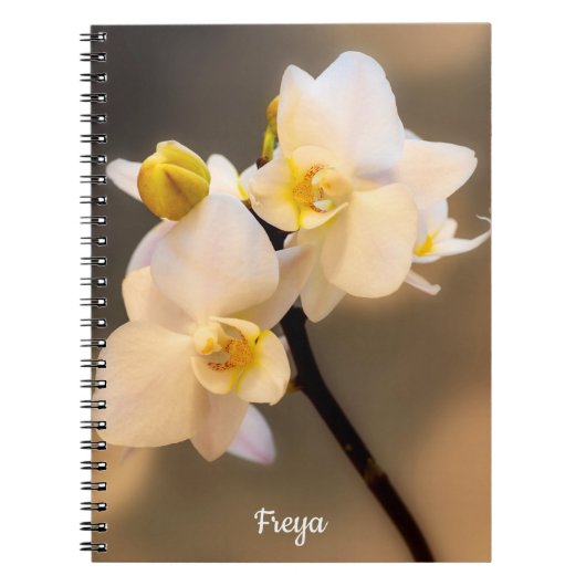White Orchid Spiral Foto Notebook Notizblock (Vorderseite)