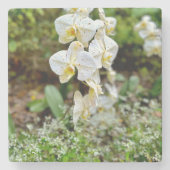 White Orchid Steinuntersetzer (Vorderseite)