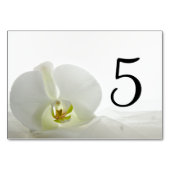 White Orchid und Bridal Veil Hochzeitsstipps-Tisch Tischnummer (Vorderseite)