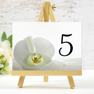 White Orchid und Bridal Veil Hochzeitsstipps-Tisch Tischnummer