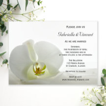 White Orchid und Bridal Veil Wedding