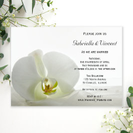 White Orchid und Bridal Veil Wedding Einladung