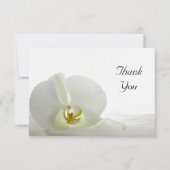 White Orchid und Veil Flat Vielen Dank Anmerkungen Einladung (Vorderseite)