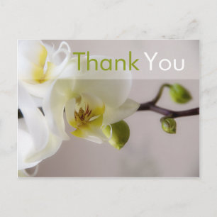 White Orchid - Vielen Dank Postcard Postkarte