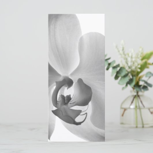 White Orchid Wedding Program Programm (Stehend Vorderseite)