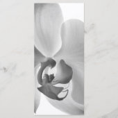 White Orchid Wedding Program Programm (Vorderseite)