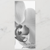 White Orchid Wedding Program Programm (Vorderseite)