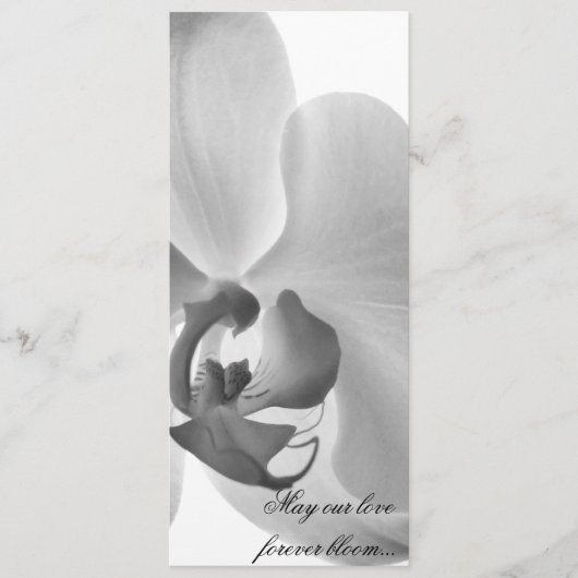 White Orchid Wedding Program Programm (Vorderseite)
