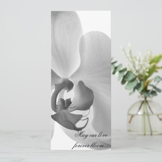 White Orchid Wedding Program Programm (Stehend Vorderseite)