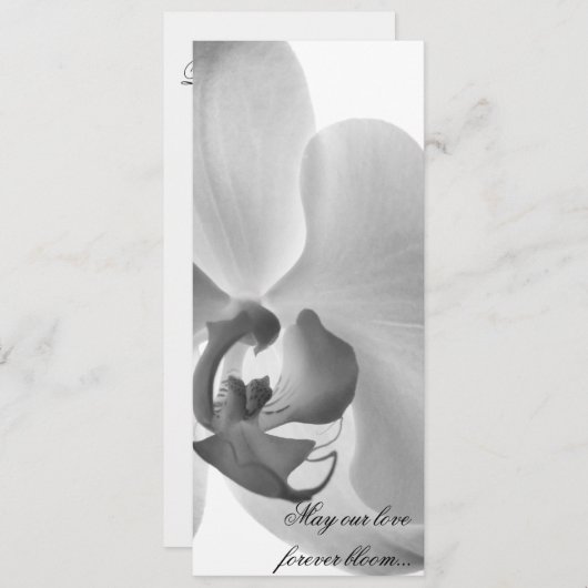 White Orchid Wedding Program Programm (Vorne/Hinten)
