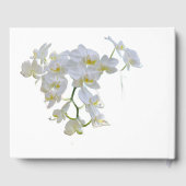White Orchids Gästebuch (Rückseite)